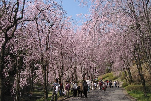 🏞️ 산요 만남 공원(산요 후레아이 코엔) 이미지 5